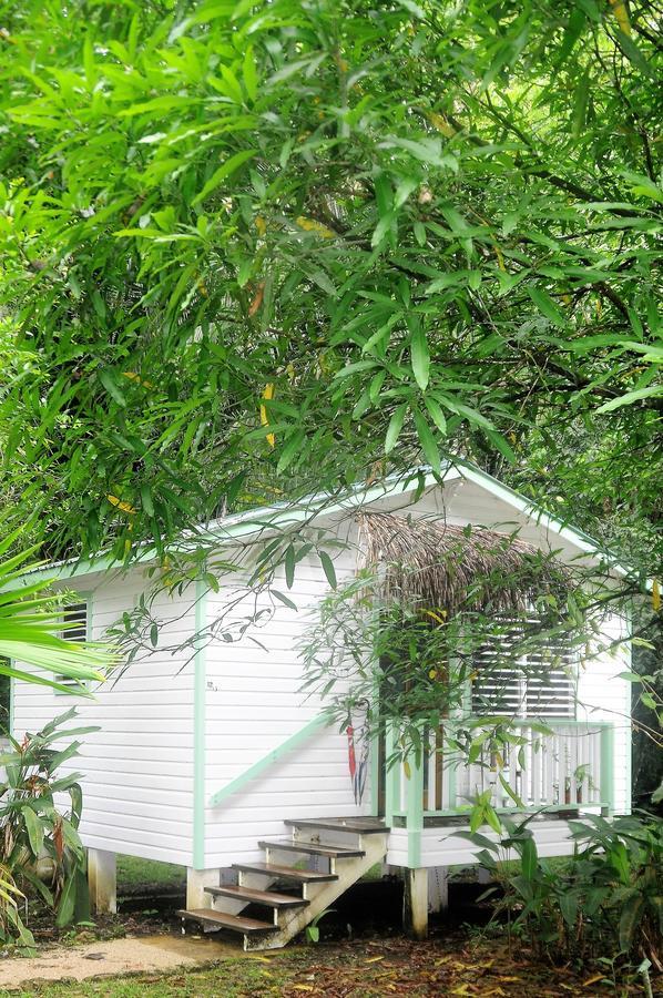 Hickatee Cottages, Belize, Central America Punta Gorda Exterior foto