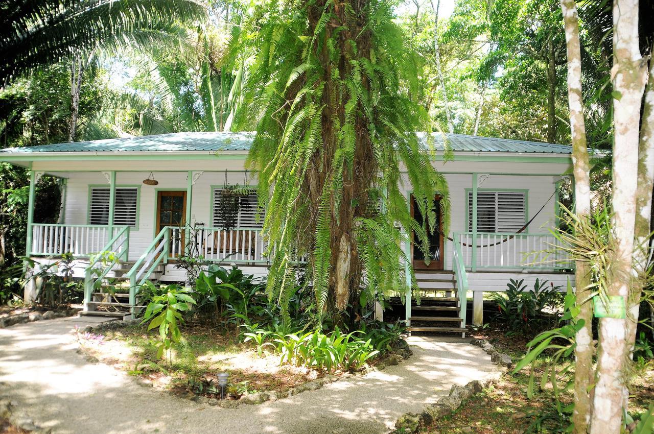 Hickatee Cottages, Belize, Central America Punta Gorda Exterior foto