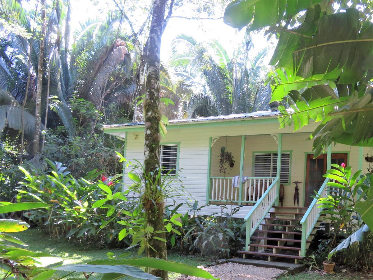 Hickatee Cottages, Belize, Central America Punta Gorda Exterior foto
